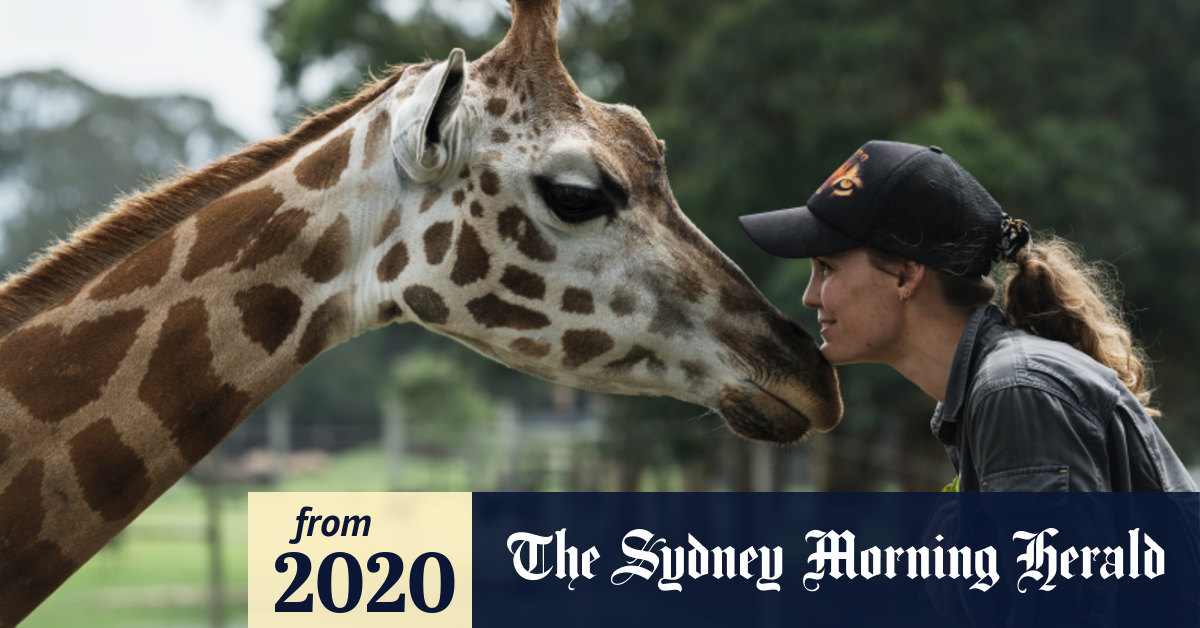 The Mogo Zoo animal rescue operation that became the pride of the town